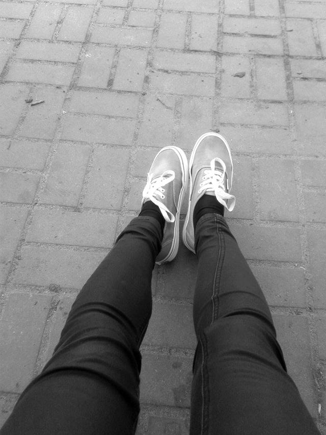 Wpis srokie