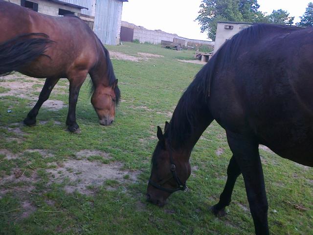 Teka i Mistral &#9829; 