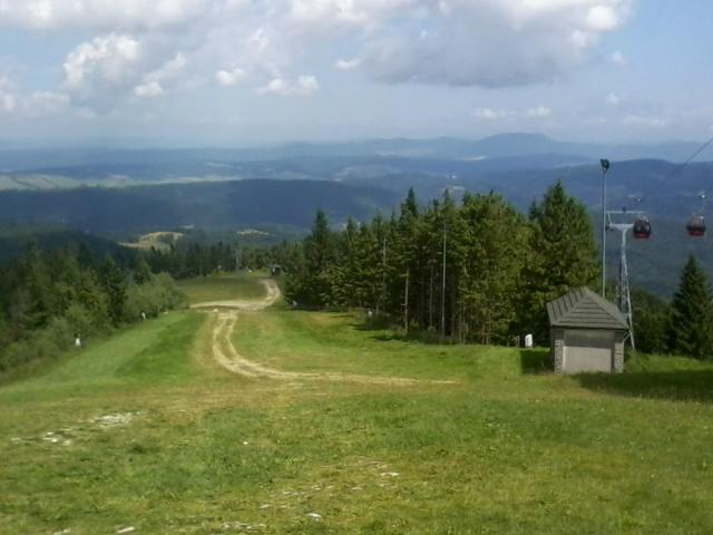 Krynica 2014