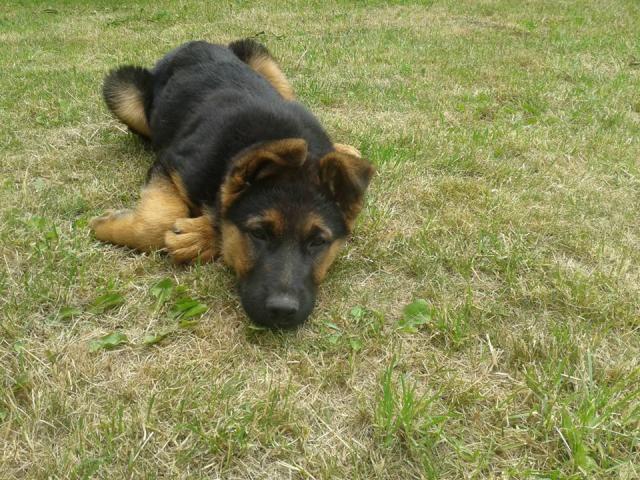 Diego *.*