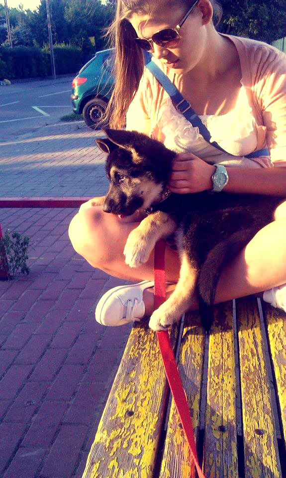 Wpis misiorx3