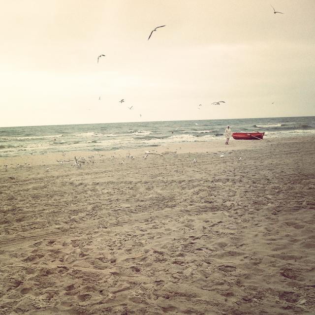 Wpis olga512