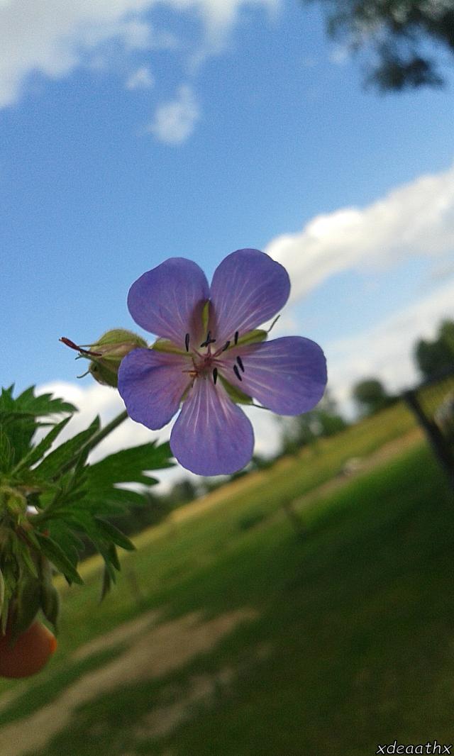 &#9829;