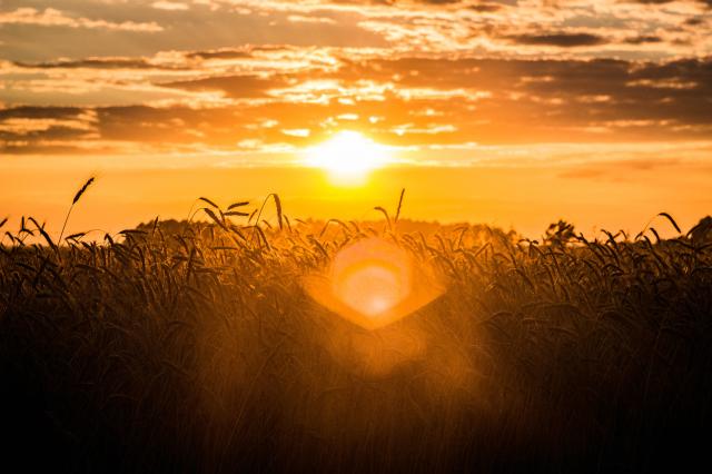 Sun