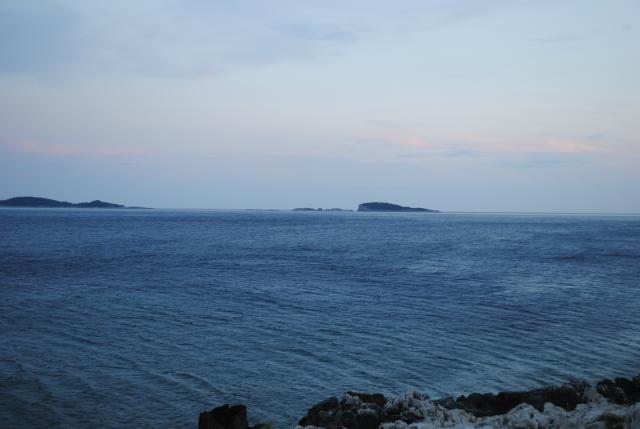 Wpis koagulant