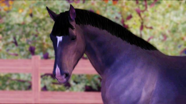 Cassino 