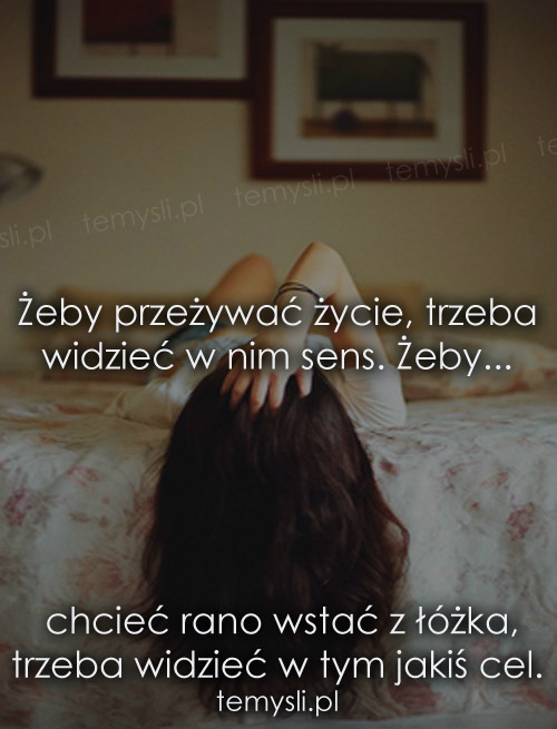 Where is my reason to live?