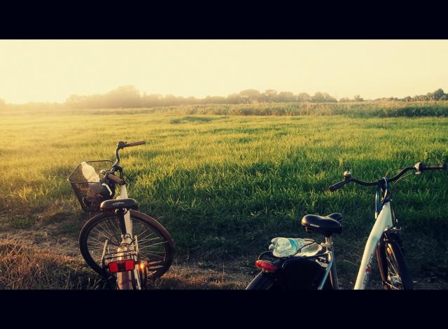 ROWERKY 