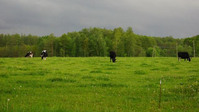 Nadcigaj Czarne Chmury
