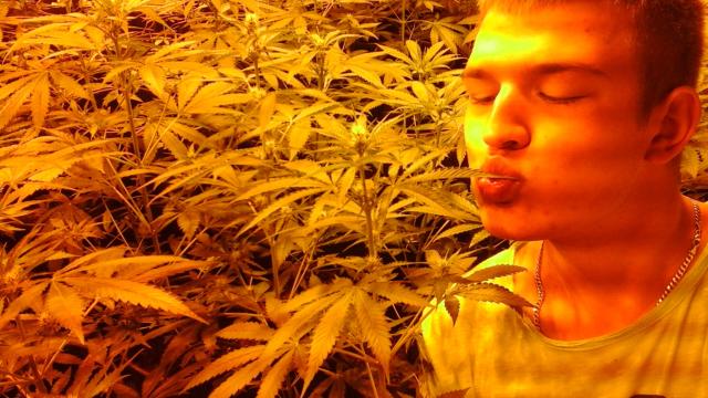 mery mery