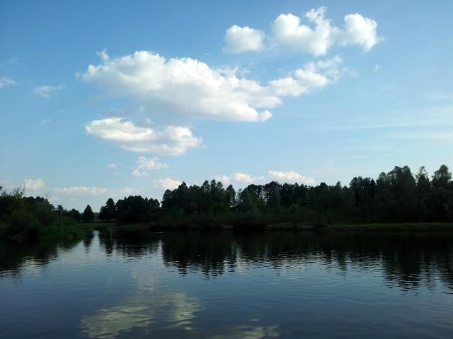 Wpis srebrzysta