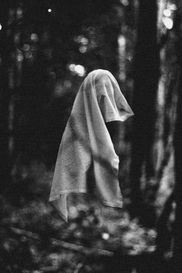 ghost in the forest 