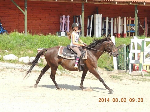 Wpis paula12081