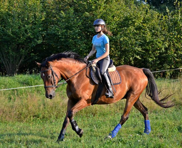 Aksel 02.08.14r.