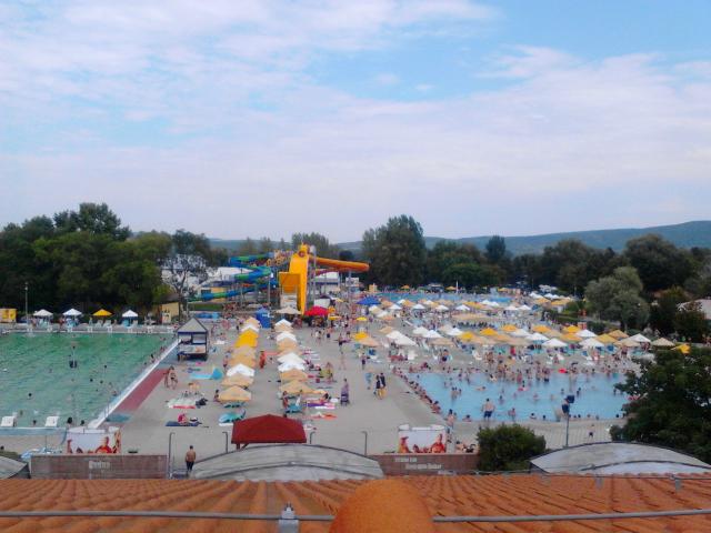 Wpis fresasalvaje