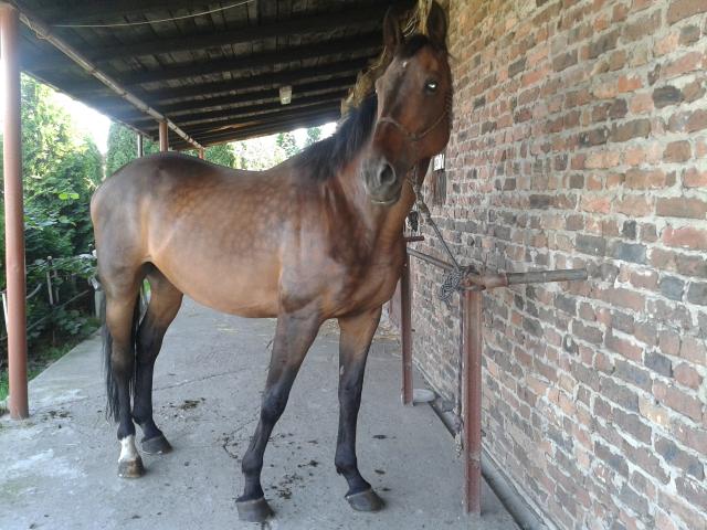 Wpis konicaaa