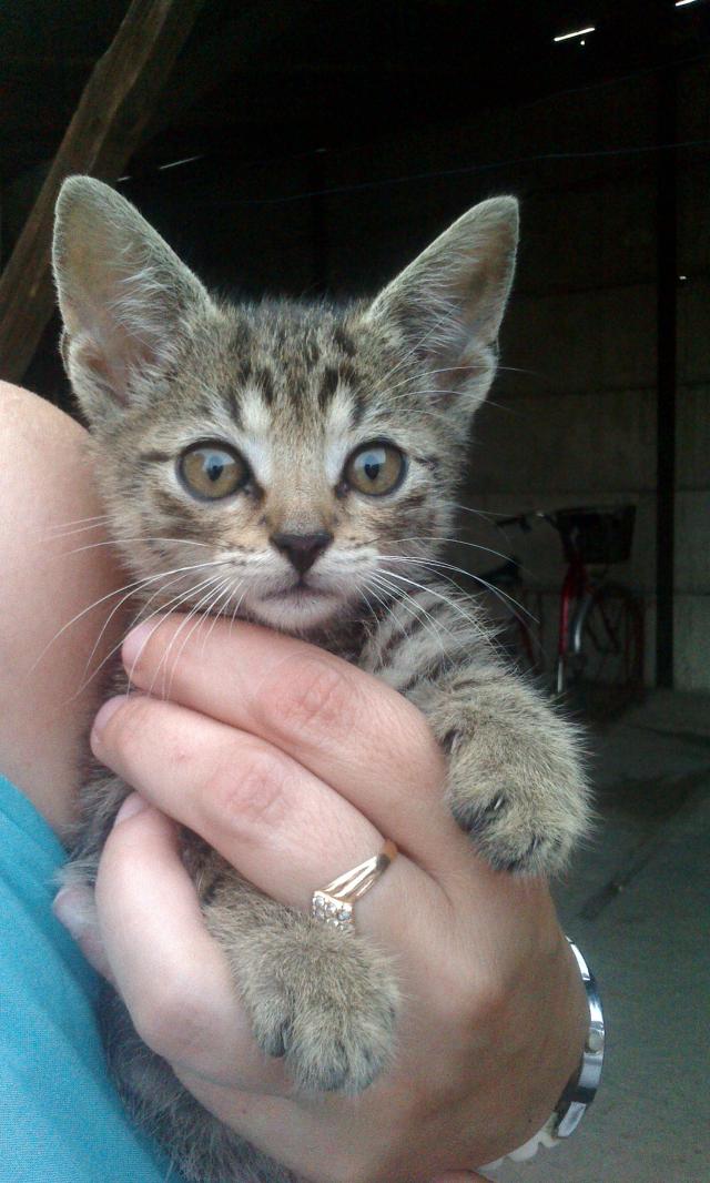 250. Gustaw :p