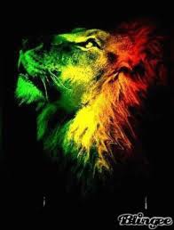 rasta mania