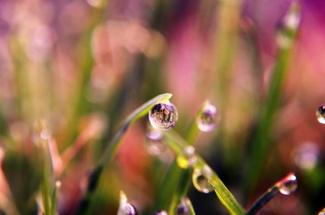 drop 