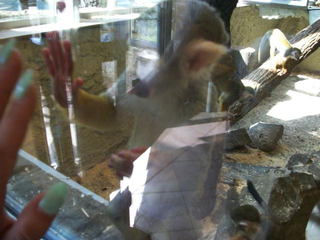 zoo;p