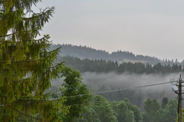Wpis ciszanieliczydni