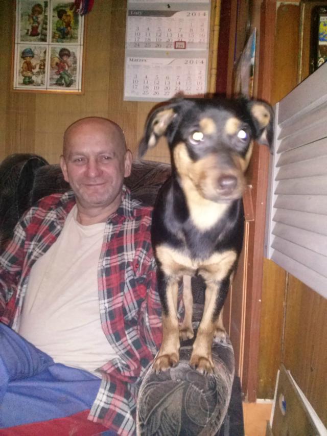 moja pies modszy misiu.