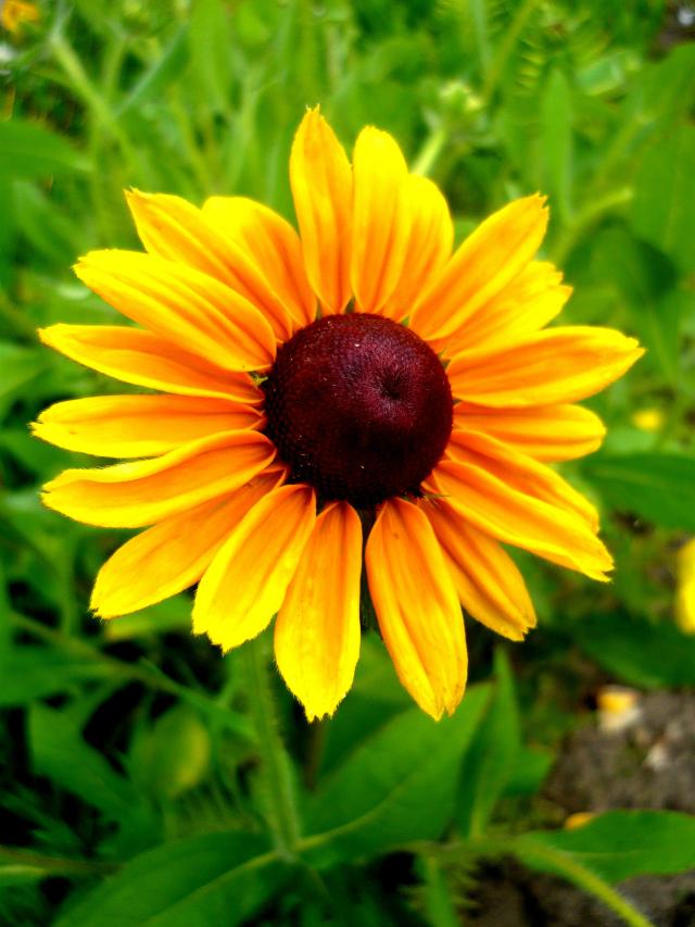 Summer story.