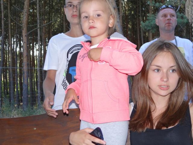 Wpis srokie