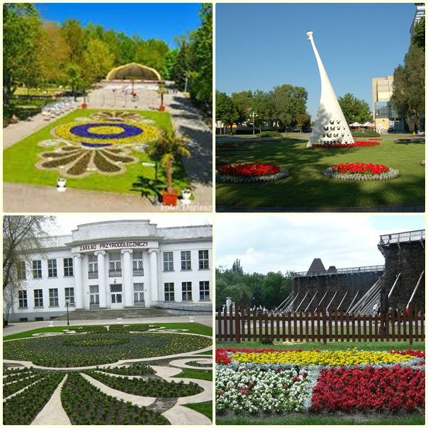 Wpis koczii13