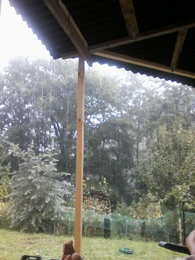Wpis trolowikowa