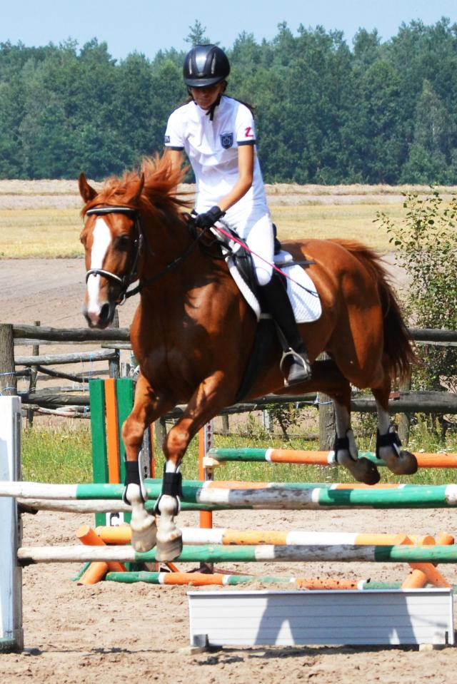 Wpis horsemember