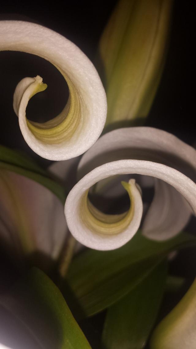 Nature... 