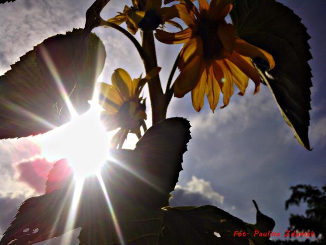 Wpis fotografiamojapasjaa