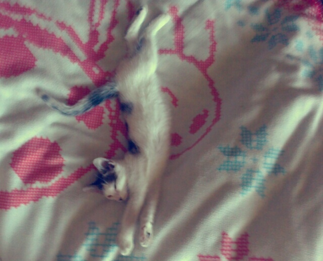 Wpis paaaauulinaaaa