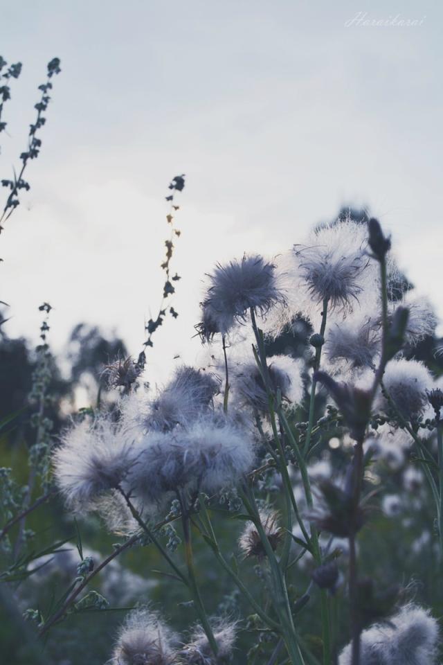 9.