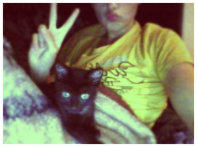 Wpis piekarnikx3