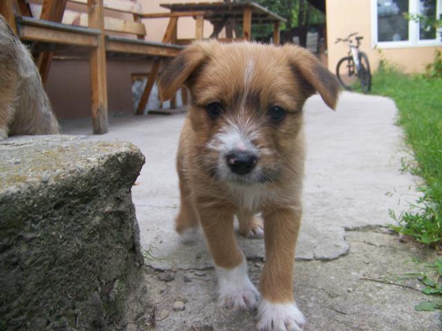 SODIZAK. :)