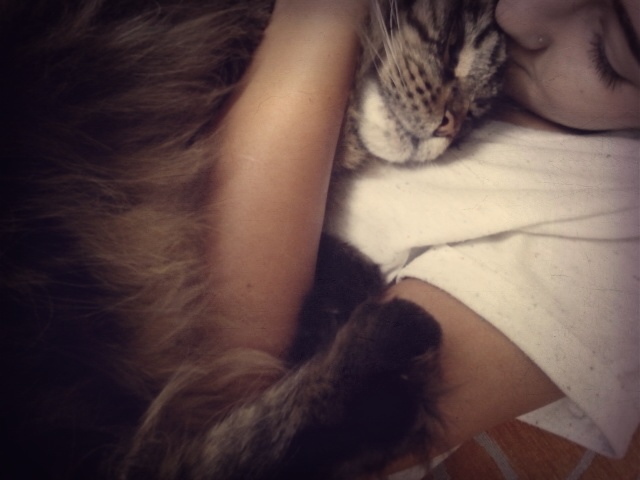 Wpis paaulisx3