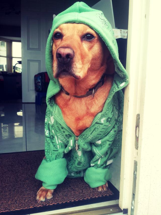 Gandzia :D