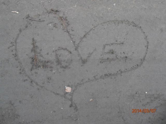 lovki kiski 