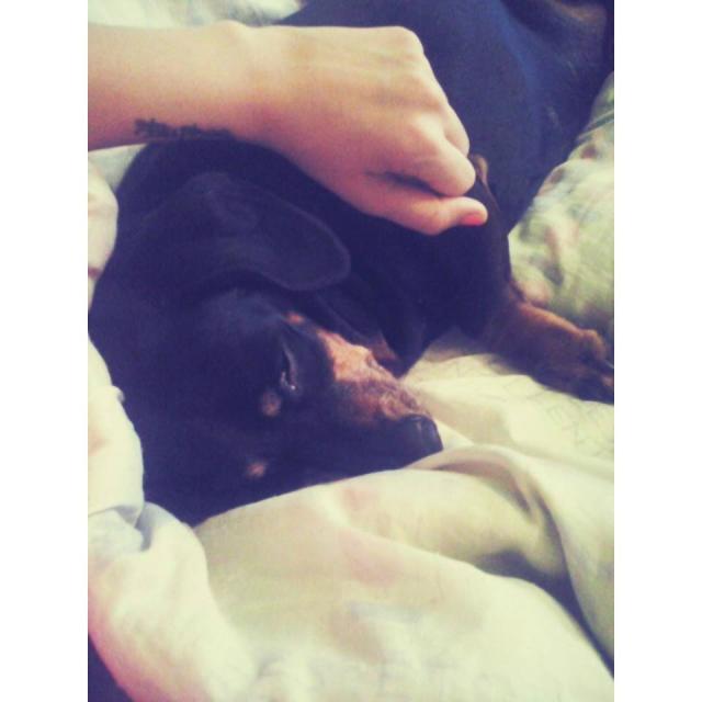 Wpis katherinee95