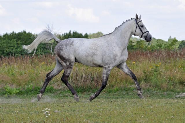 Wpis tosiek2007