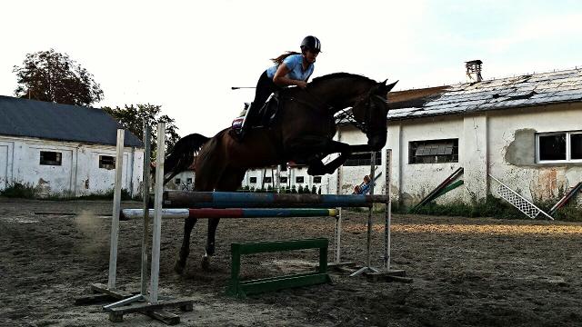 Wpis cytatowna