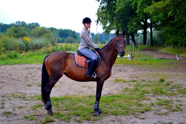 Wpis withwindgalloping