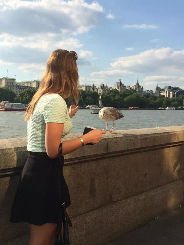 Wpis oskaripati
