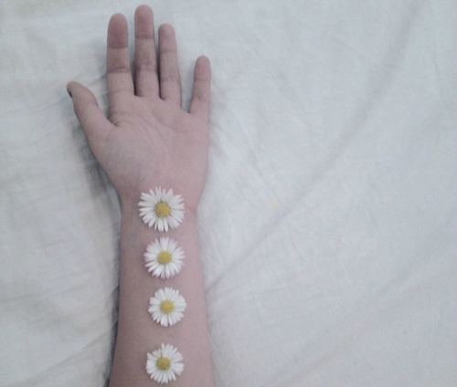 Wpis silenceecnelis
