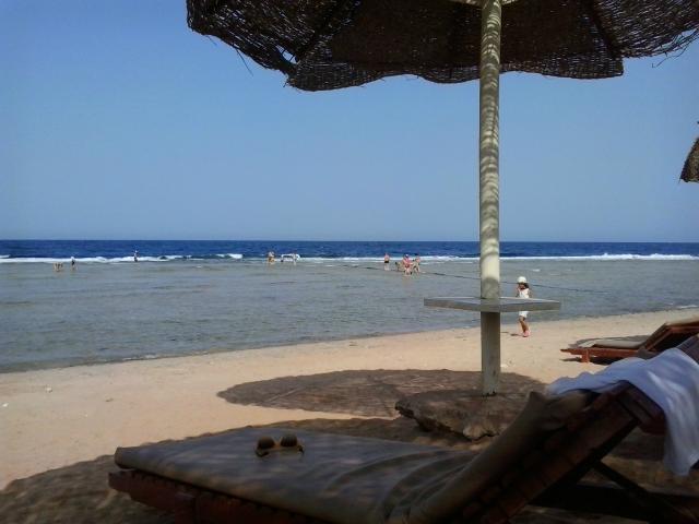 Day Off !