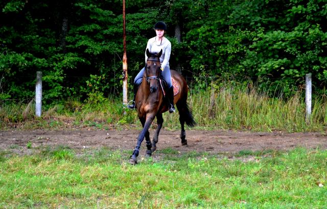 Wpis withwindgalloping