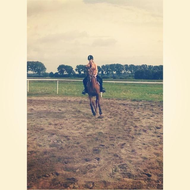 Wpis oskariaaaxxd