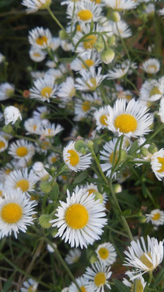 Wpis beautifulnatureview